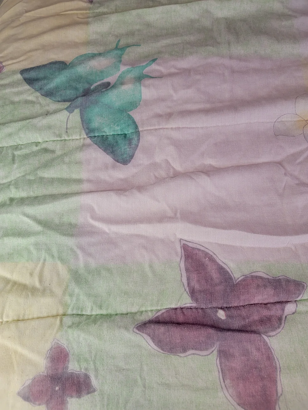N/A butterfly or